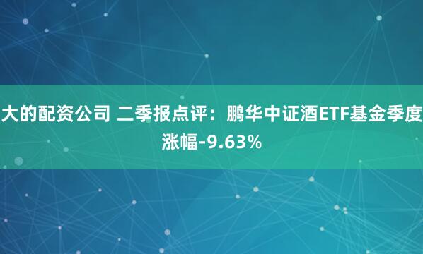 大的配资公司 二季报点评:鹏华中证酒ETF基金季度涨幅-9.63%