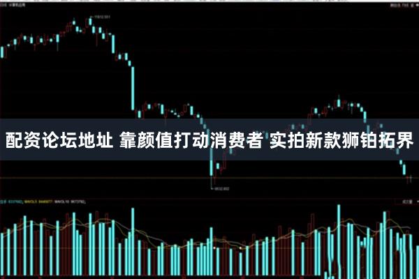 配资论坛地址 靠颜值打动消费者 实拍新款狮铂拓界